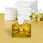 Beautiful, One Acrylic Mirror tissue box with 100 X 2 Ply tissues (2+ MM) - FHMax.com